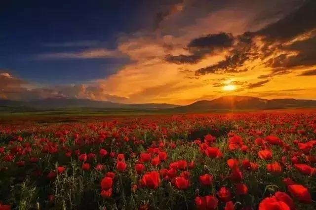 涨姿势了啥意思,电子签如何签