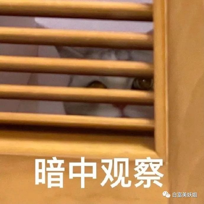 拜佛名媛翻车啦，背景被人扒底朝天