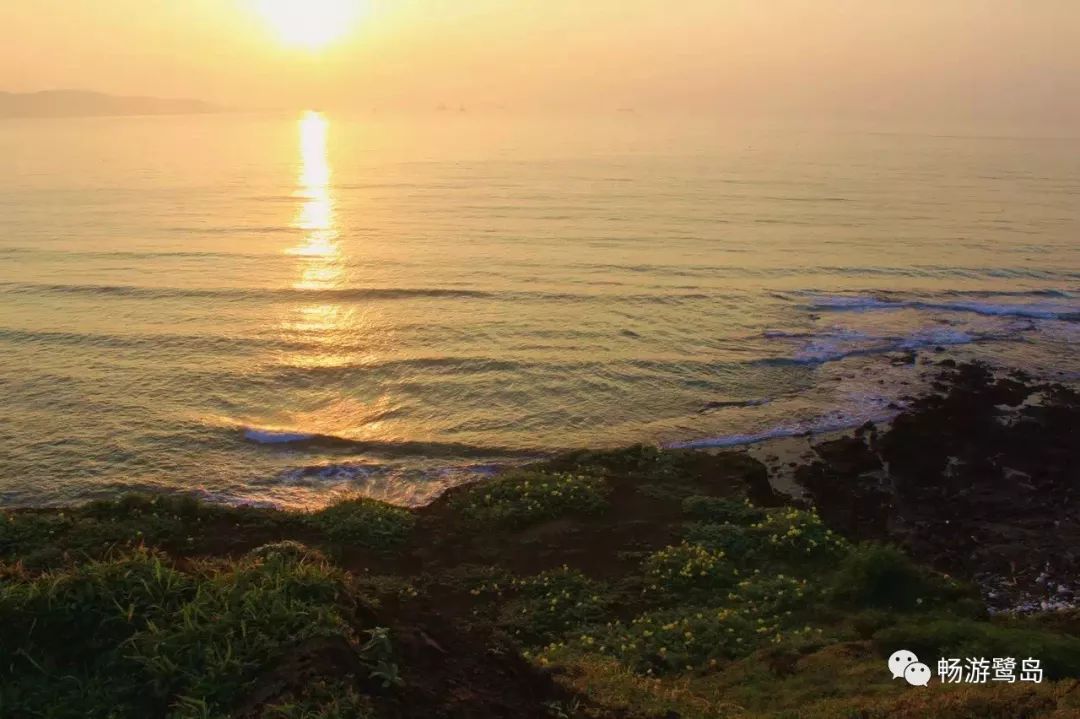 厦门旅游年卡有哪些景点可以玩,厦门旅游必去十大景点曾厝埯