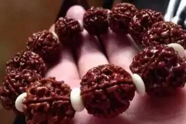 金刚菩提的刷盘方法,金刚菩提是刷红还是盘红