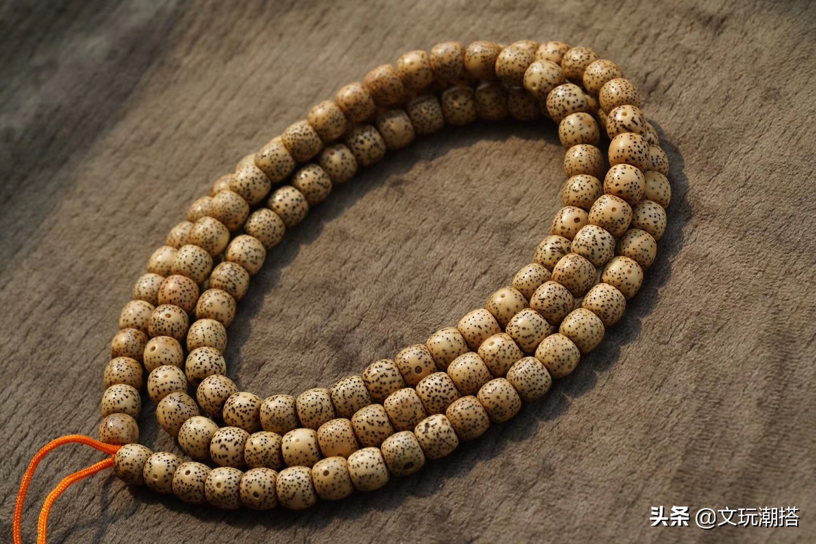 星月菩提众星捧月啥意思,众星捧月牌的星月菩提