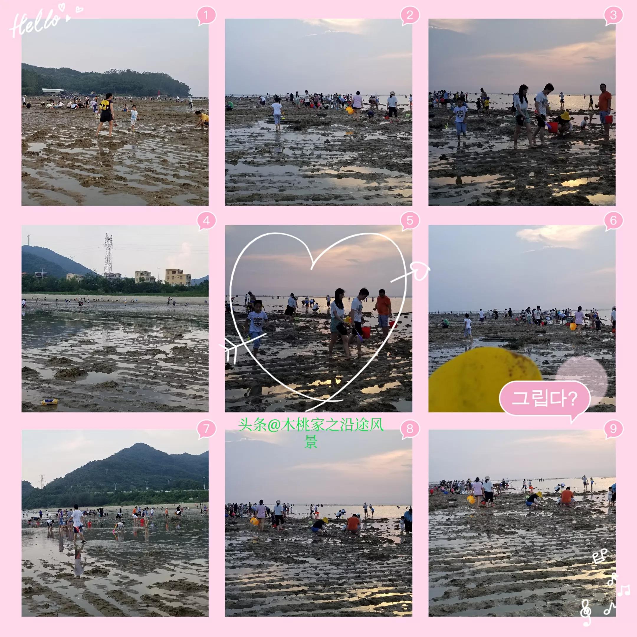 东平赶海沙滩,东平赶海最佳地方