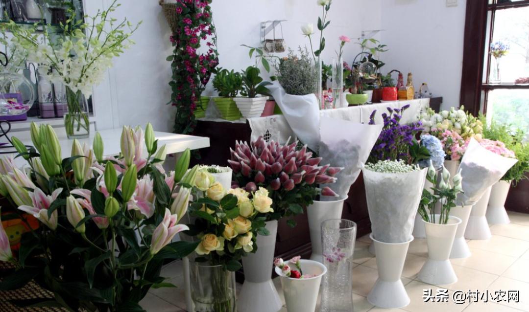 新农村创业适合做的几个生意项目,乡镇致富门路500条免费阅读