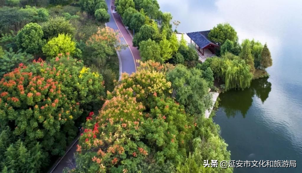 鏁伴娴佷汉鐗╃湅浠婃湞绱犳潗,鏁伴娴佷汉鐗╃湅鍘嗗彶娌夋诞