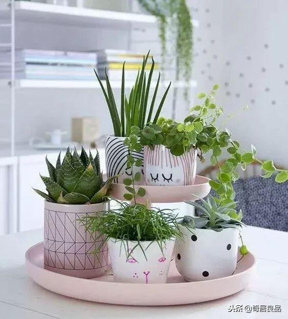 怎样弄一个简单的花园,如何在家打造一个花园