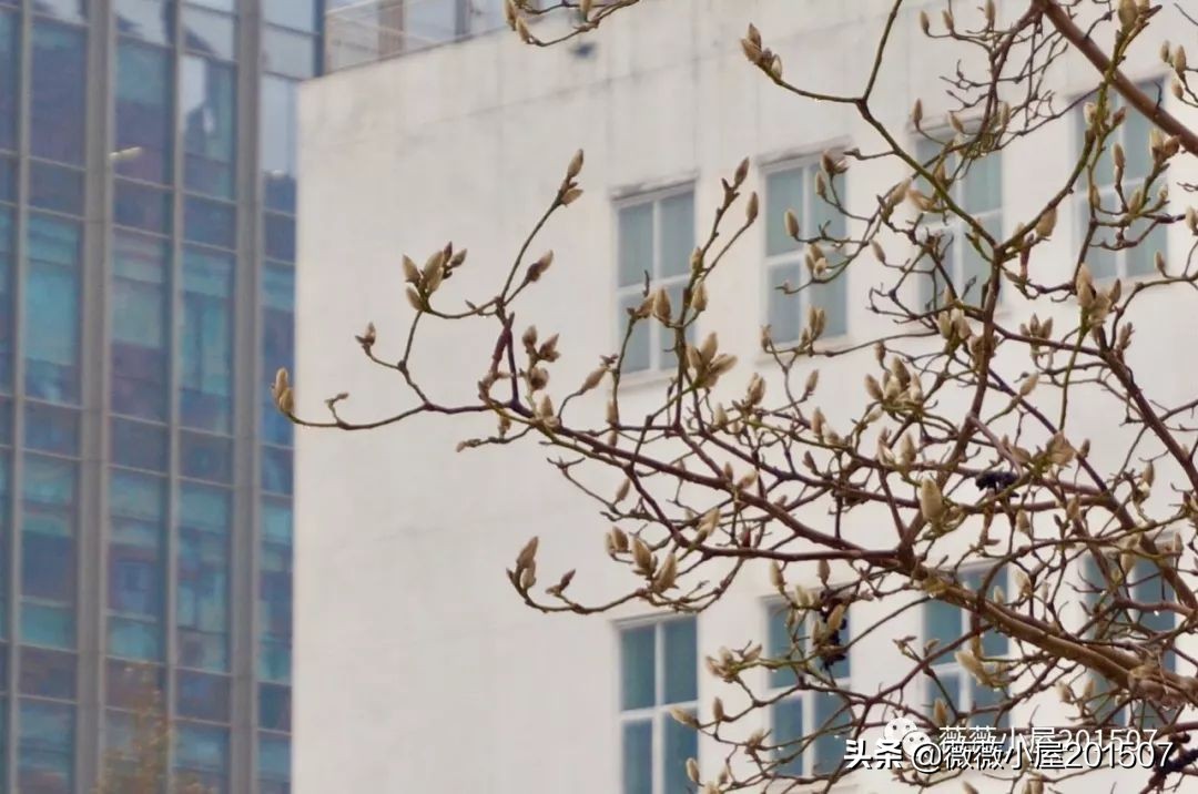 城市漫步,城市漫步郑州