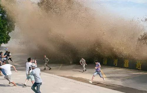 震惊标题党笑死人,震惊标题党必备的1000个标题