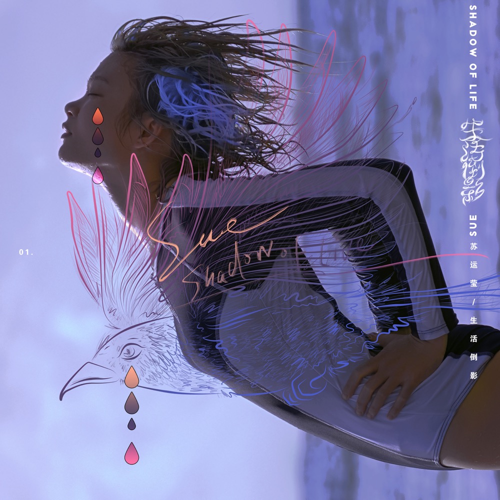 苏运莹唱不出野子,苏运莹的野子是在哪期唱的