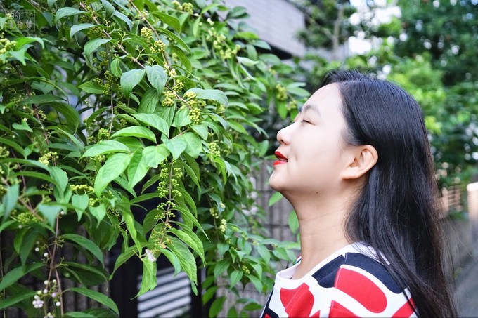 涓滀含鏂囪壓鍦版柟,涓滀含鏂囪壓