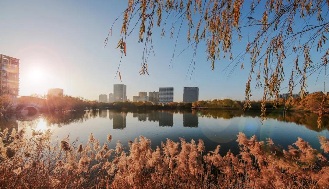 河南中医药大学开设专业,河南中医药大学2024招生专业目录