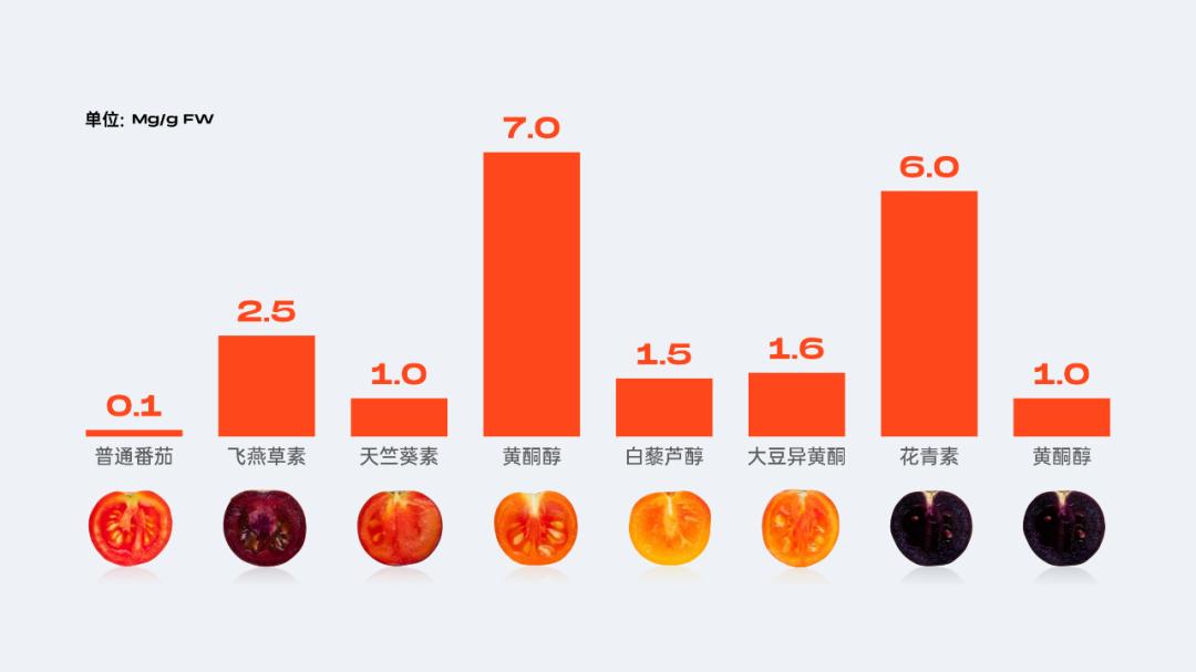 当西红柿遇上烦人的橙子,当番茄遇上西红柿视频