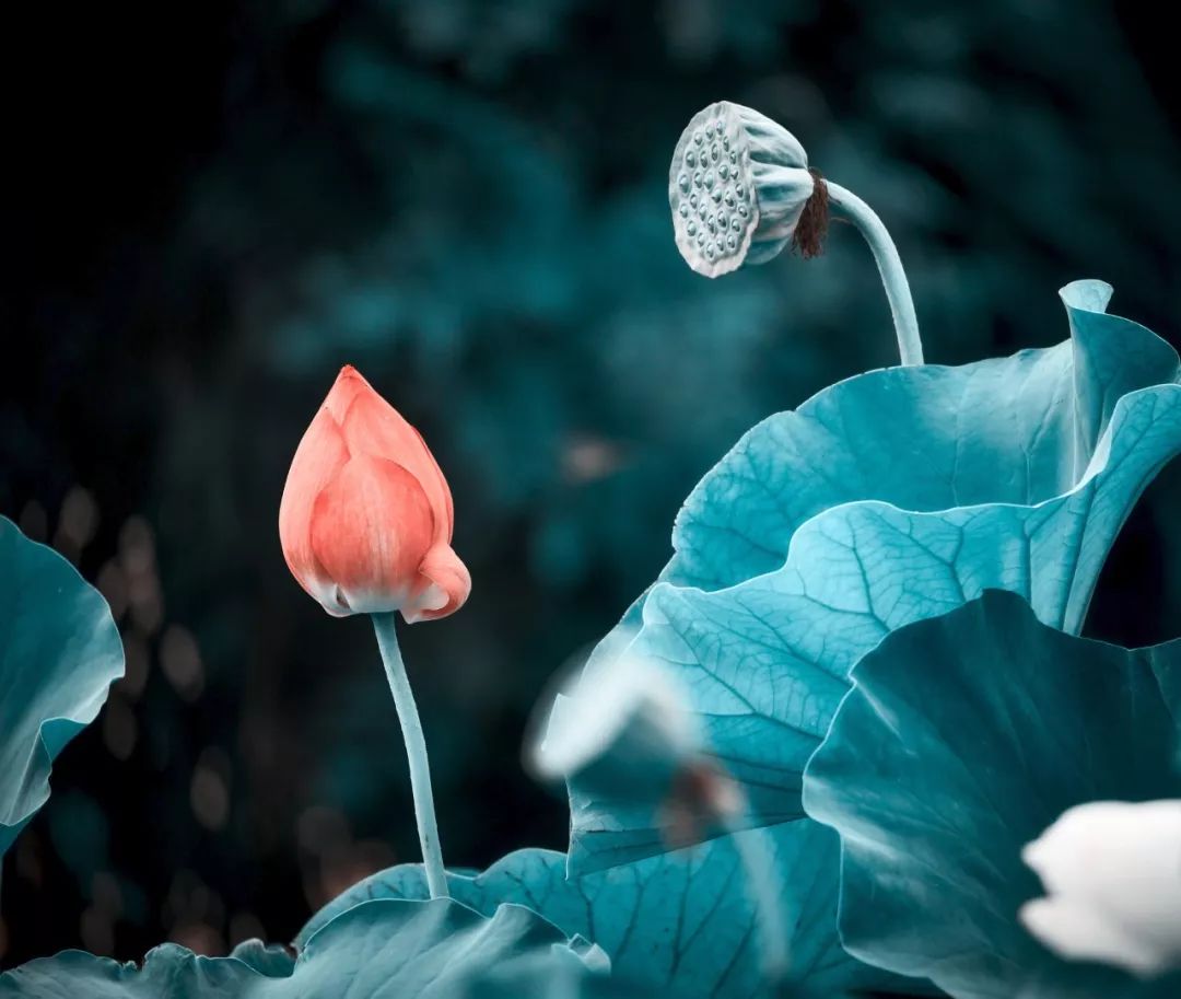 五月需要注意什么事项,五月有什么重要的事情