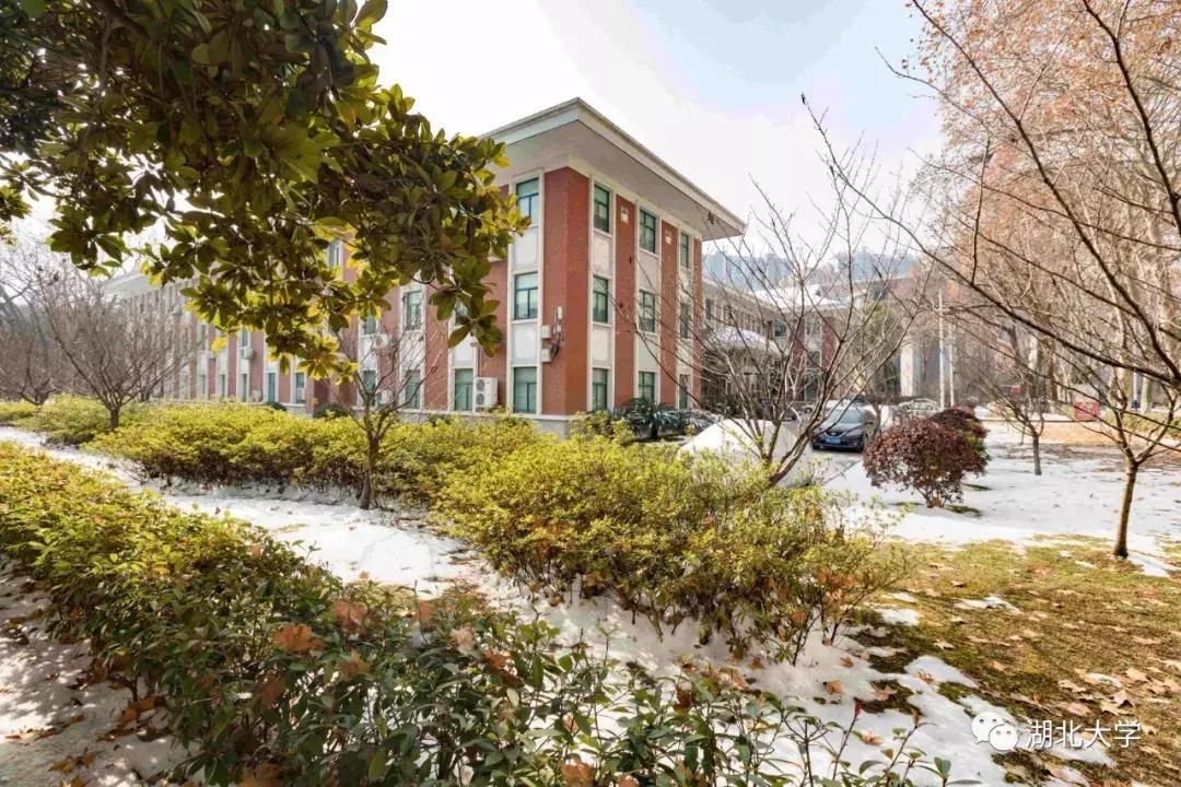 今天是你的生日，我的湖北大学！书记喊你回学校打卡