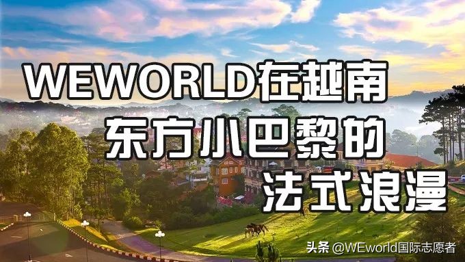 WEworld全球体验官招募|4大志愿者项目0元出发