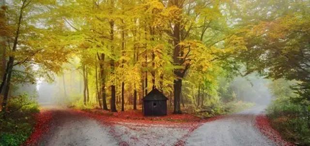 三校生的出路：孩子，你为什么要上大学