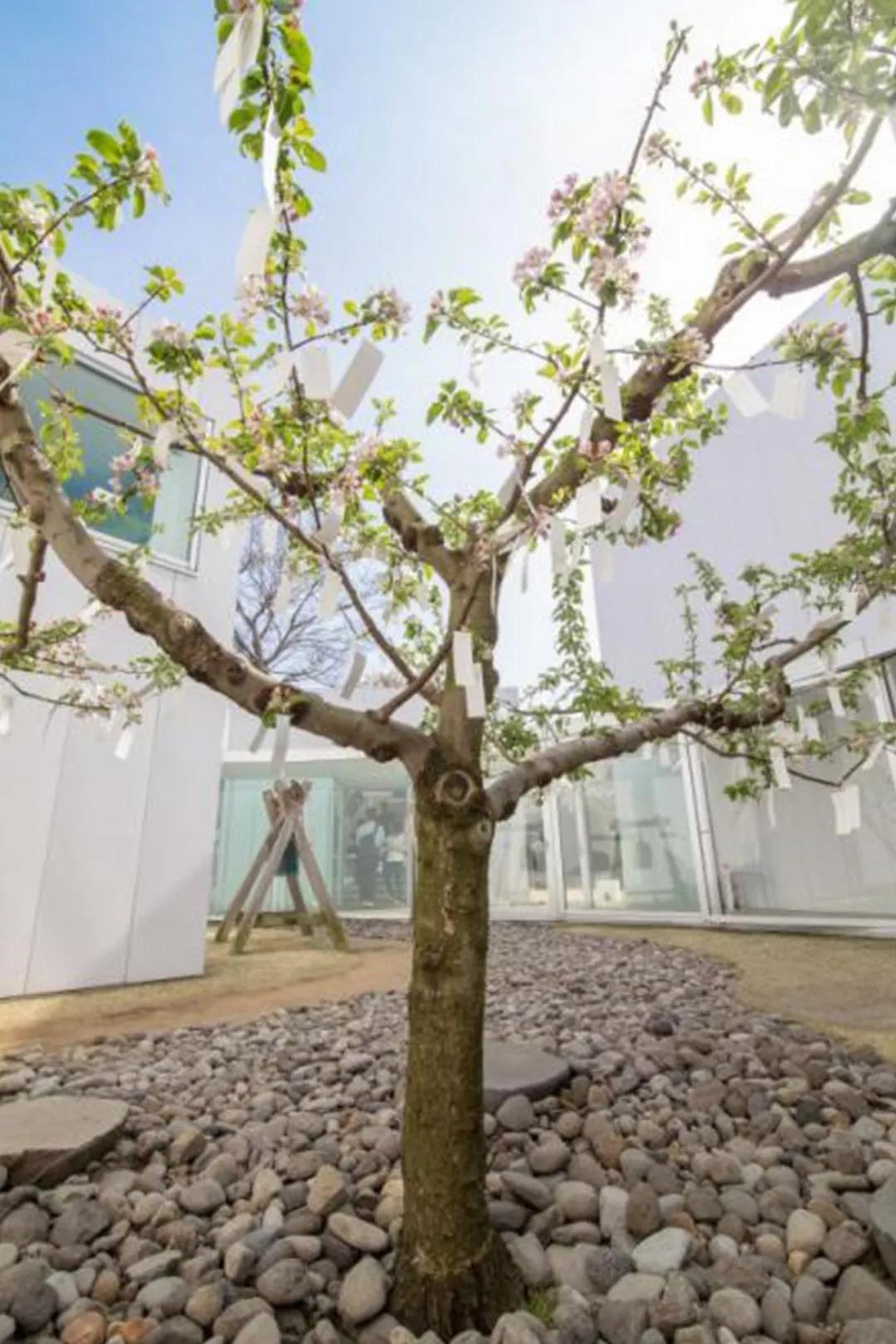 白天打卡33组奇妙的巨大装置，夜晚欣赏蓝色的光之海洋