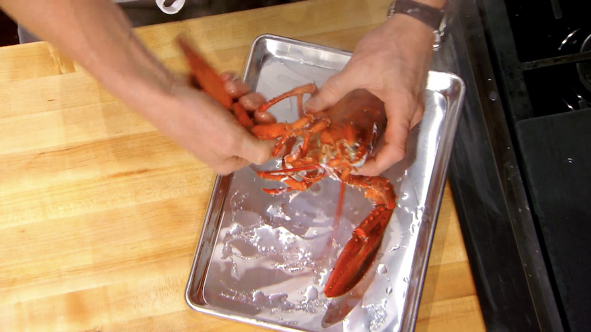 戈登拉姆齐龙虾肉,戈登拉姆齐取龙虾肉视频