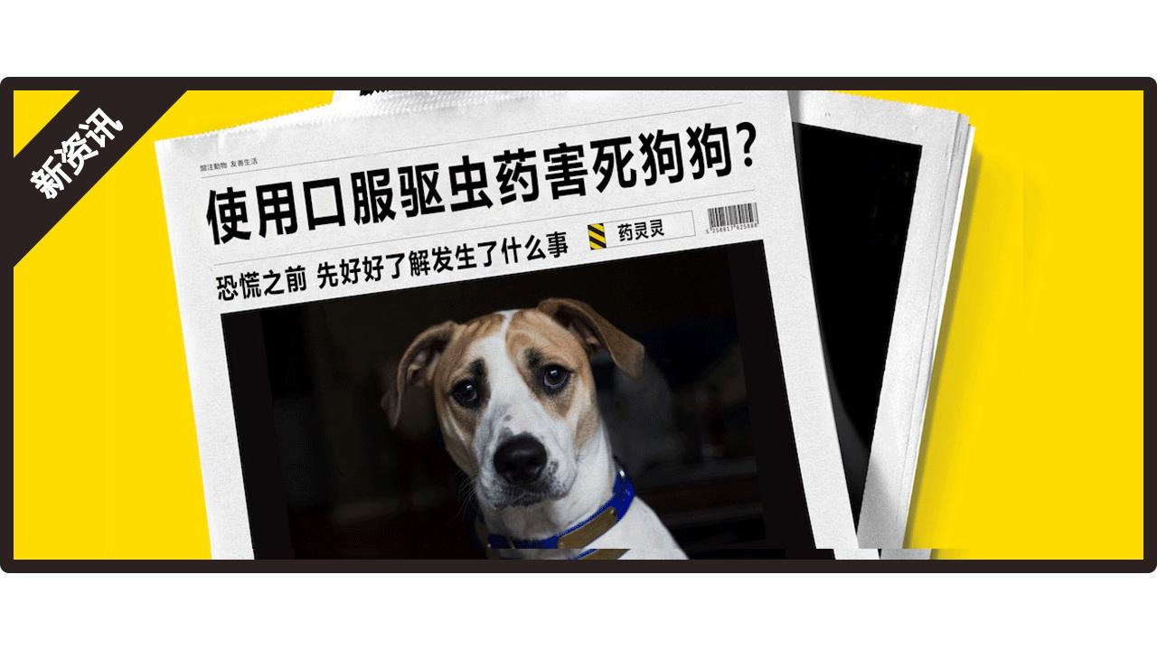 吃驱虫药能杀死所有寄生虫吗,狗狗驱虫药中毒的症状几天能缓解