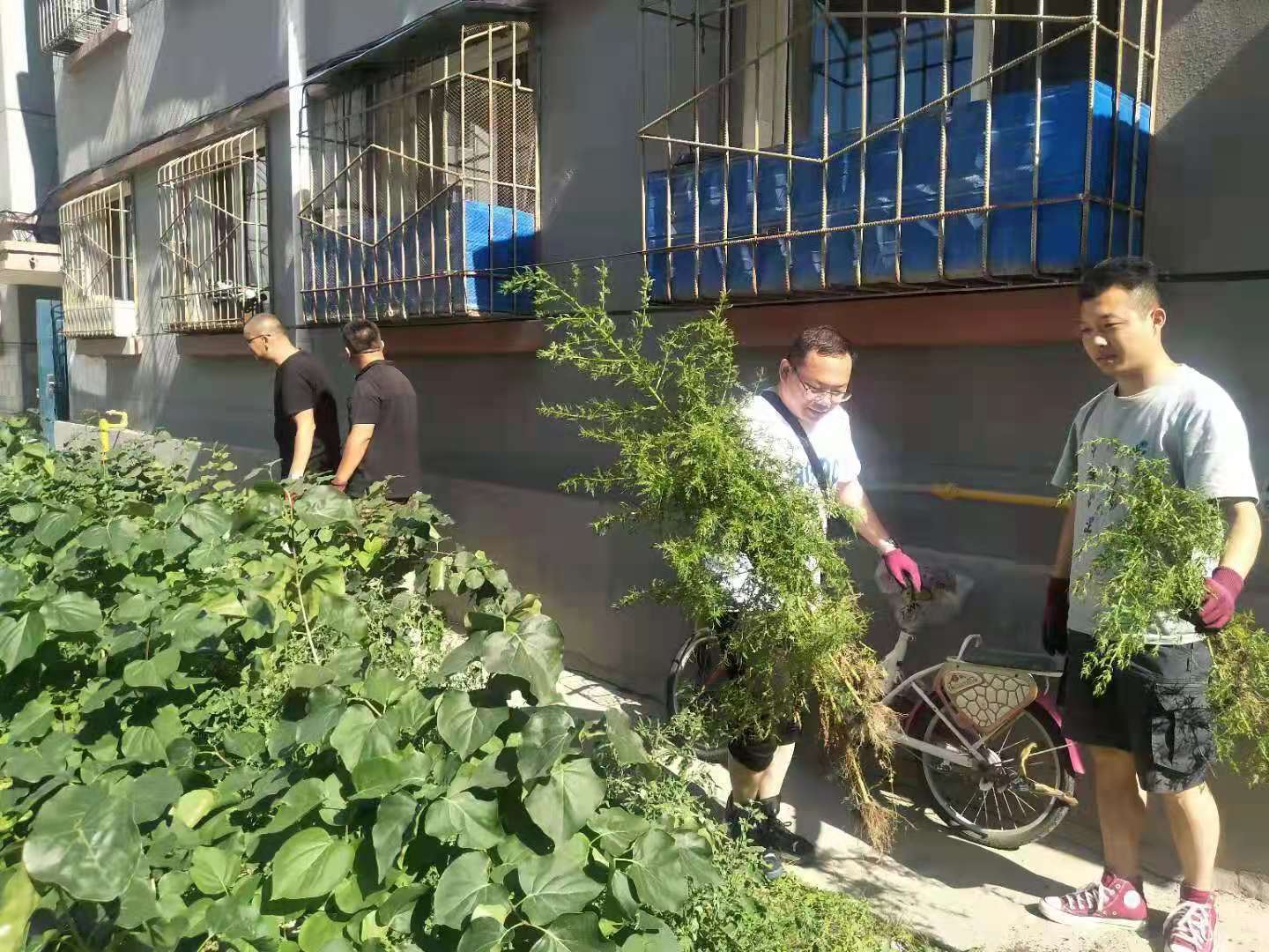 【光明路街道】“我帮你”进行时｜阳光社区：我爱青城，我为文明青城代言