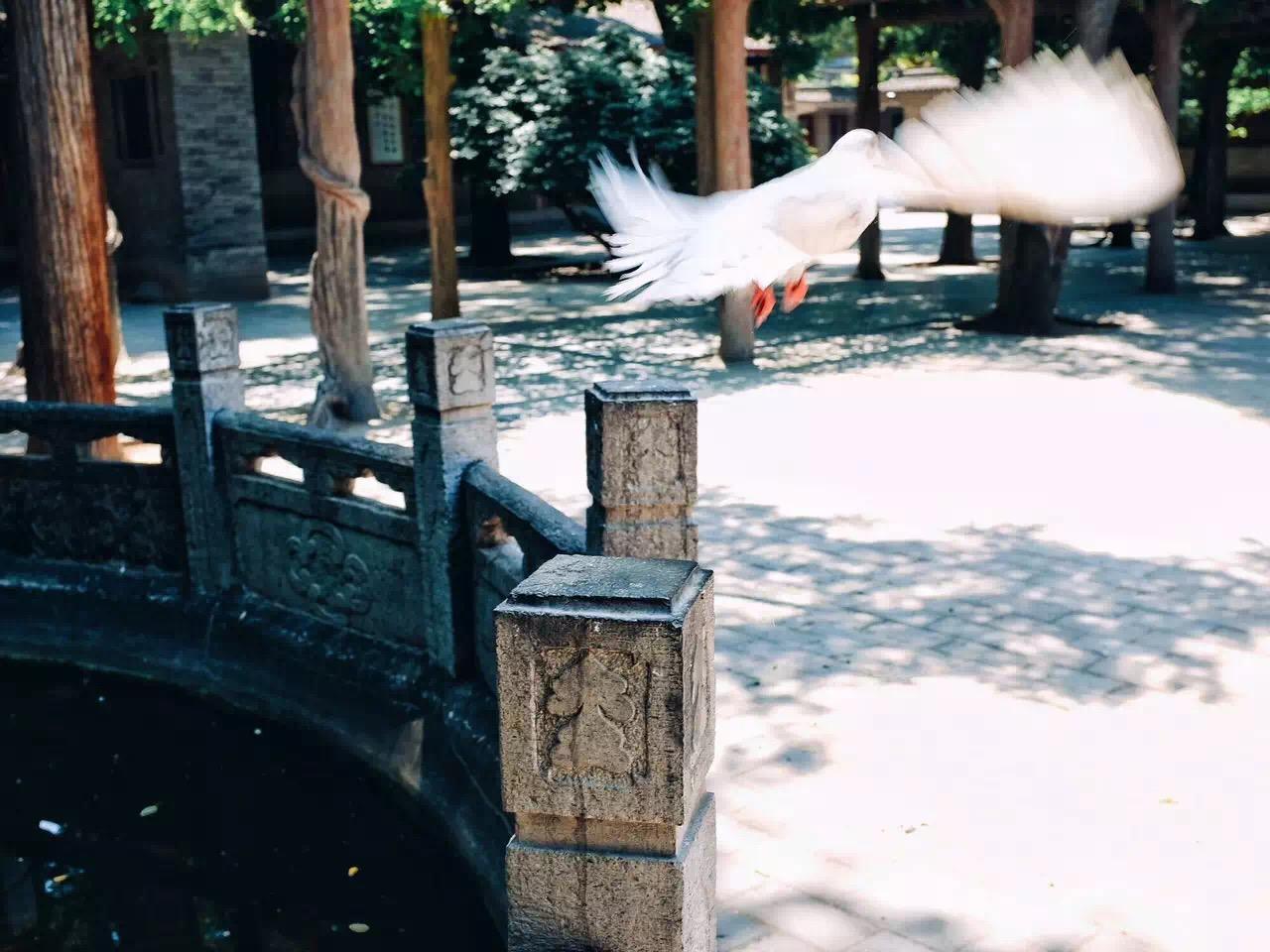 我们从靖安司偷来了长安舆图