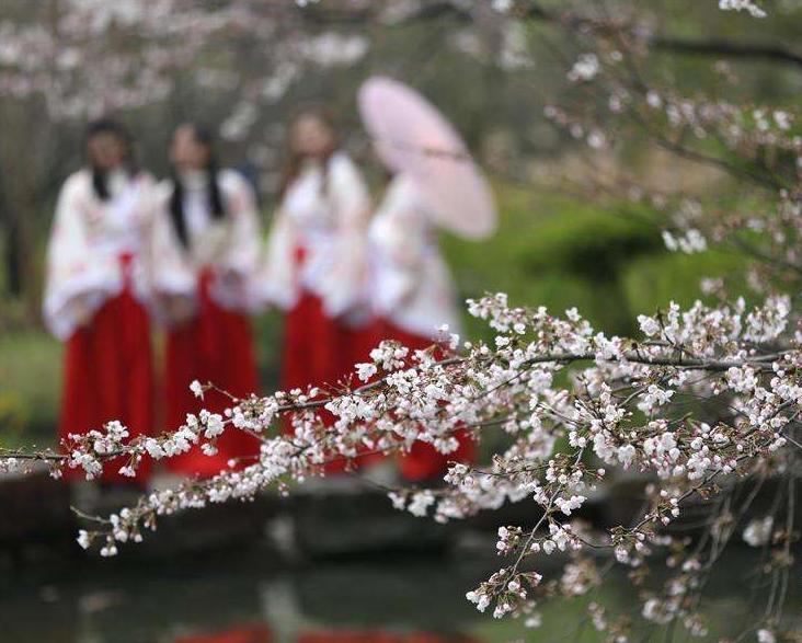 值得一去的南京旅游点,南京旅行攻略过年