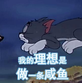 你以为我们做的是建筑吗？其实是欲望