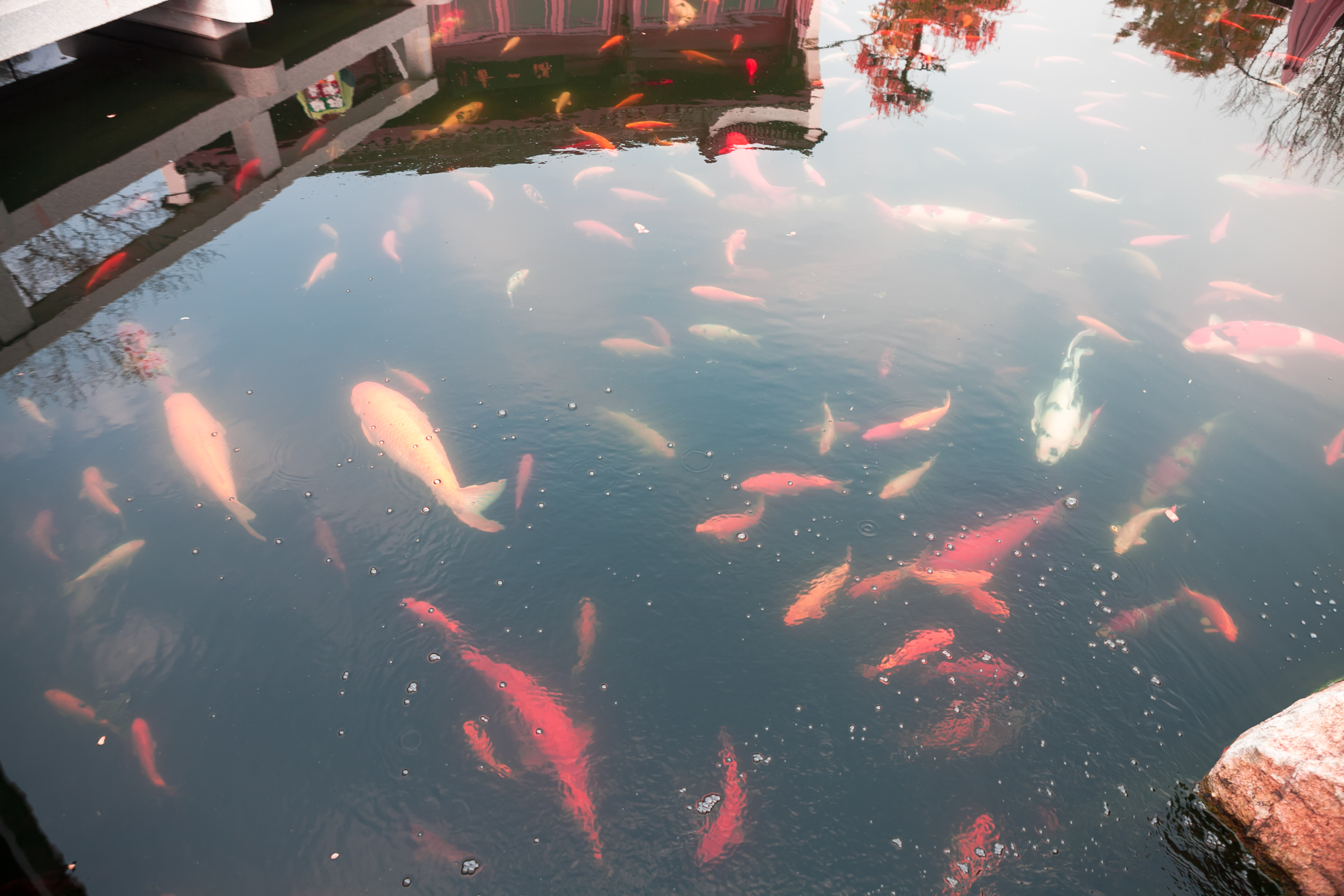 秋天的无锡美的醉人，去无锡旅行，这些好地方不要错过了