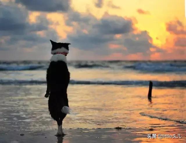 日本购物店需要注意什么,购物为什么要列清单