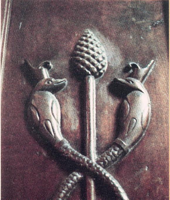 人体神秘器官产生特异功能,奇妙的器官特异功能