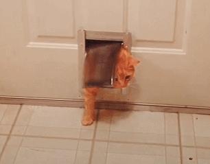 如何榨取自己的剩余价值,如何收割女性财富