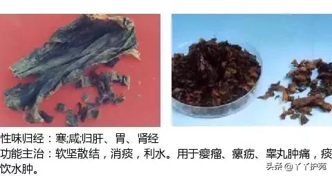 农村身边的中草药主治与功效,中草药全图谱与功效