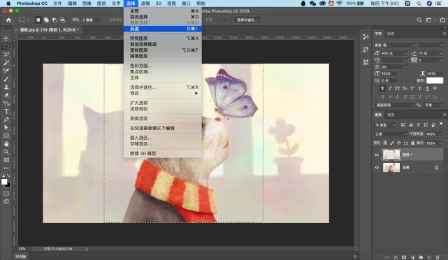 ps选区基础操作教程,ps基础教程新手快速建立选区