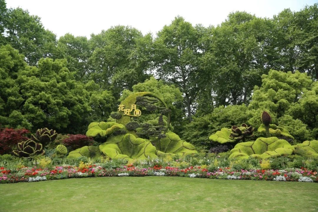 欣赏西湖的全景太美了,西湖美景实在美怎么也看不够