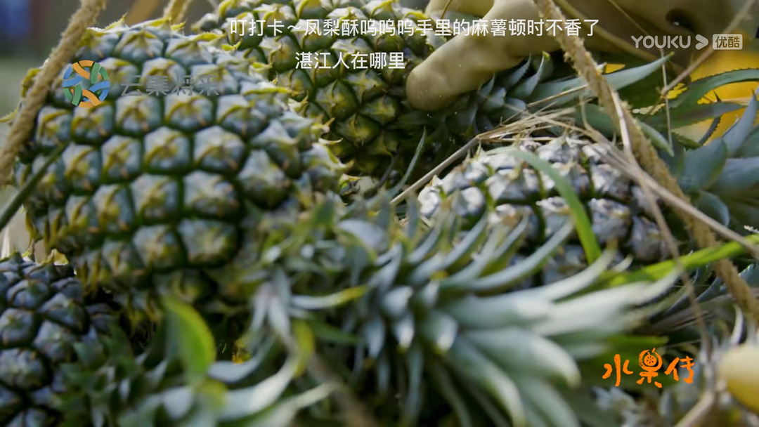 一起来看水果传——爱玉子,可可,嘟柿,你都见过吗?