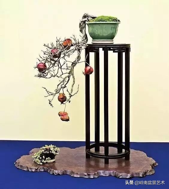 鎮礀缁濆閫㈢敓,鎮礀鐩嗘櫙澶у叏