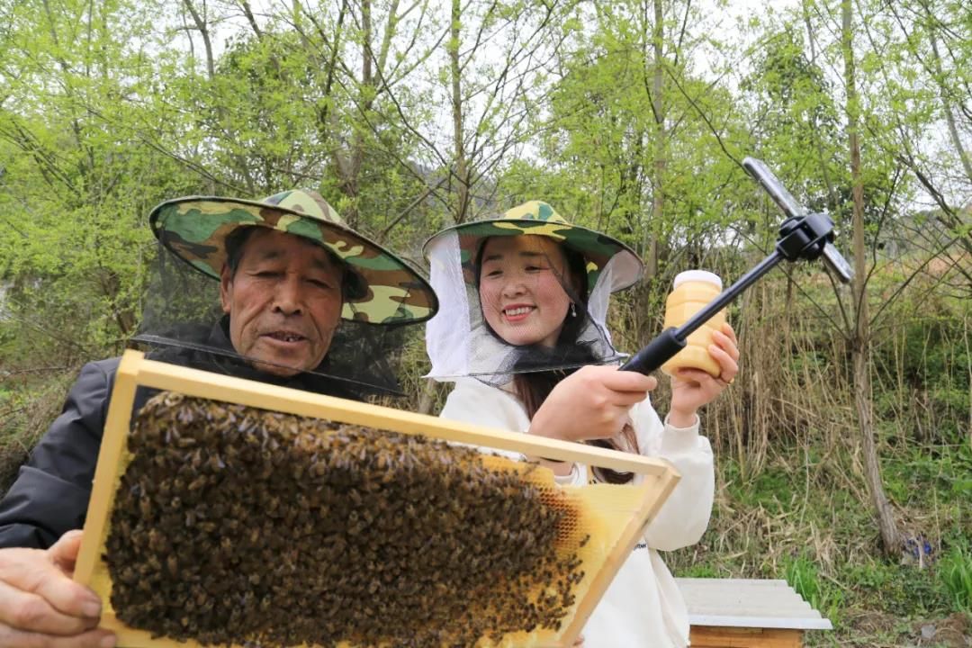 甘肃陇南徽县电商产品,陇南电商白皮书