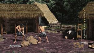 这块“美丽洲”，为什么能实证中华文明五千年？今晚一起探秘～