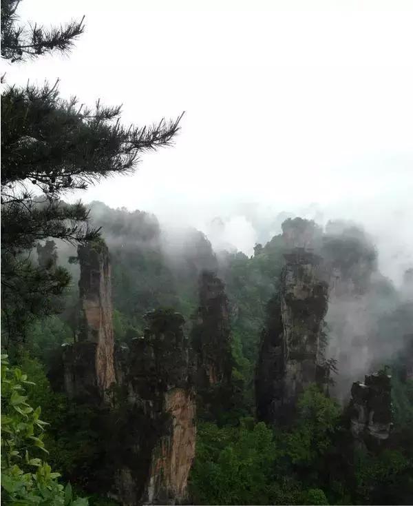 在张家界旅游遇到雨天,去张家界旅游哪个风景最好