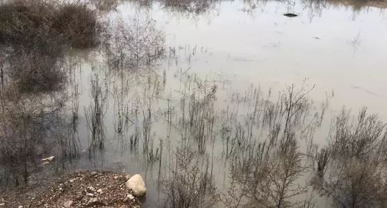 染料化工的废水,染料化工厂废水排地下