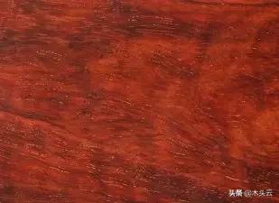 十种家具用木头,常用做家具的木材