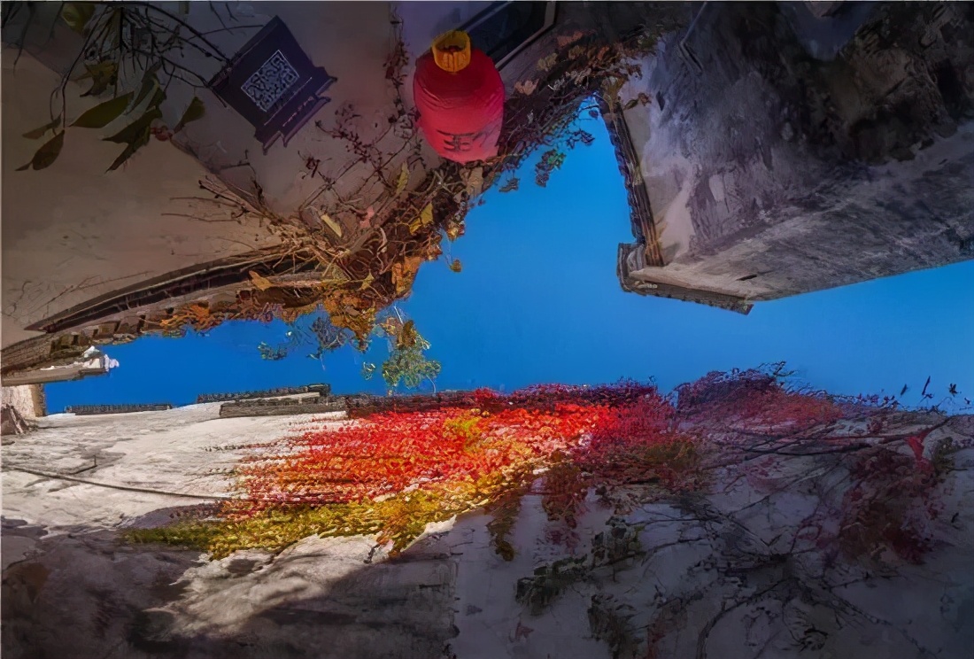 带着狗子旅行推荐,带着狗狗游新疆