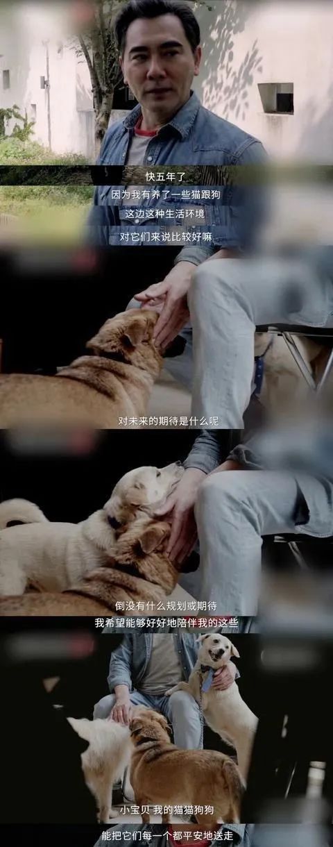 赵文瑄美男子的一生,赵文瑄年轻时美男子