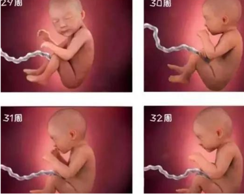 孕晚期，这些迹象说明进入胎儿的“猛涨期”，孕妈们要注意