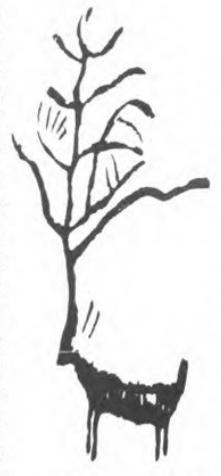 古人为啥将温和善良的鹿的角，作为中华民族龙图腾的龙角？