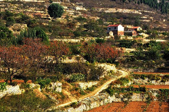 乡土散文拾麦子,乡土散文集