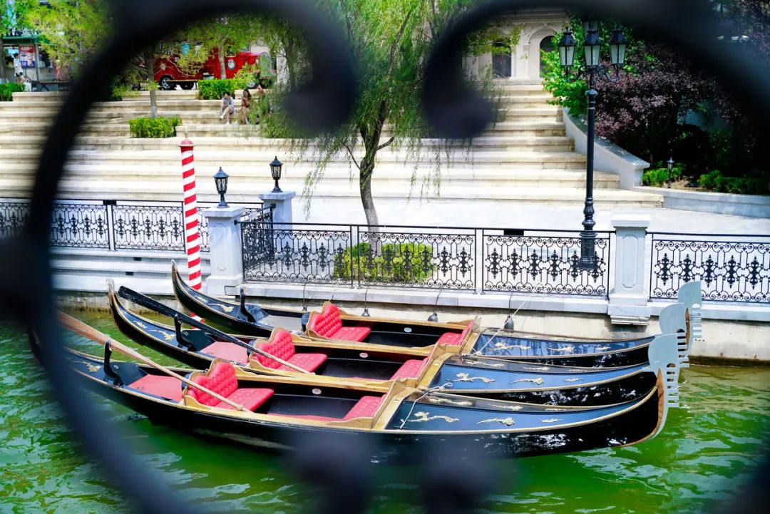 突然就想去成都了,突然想去青岛了