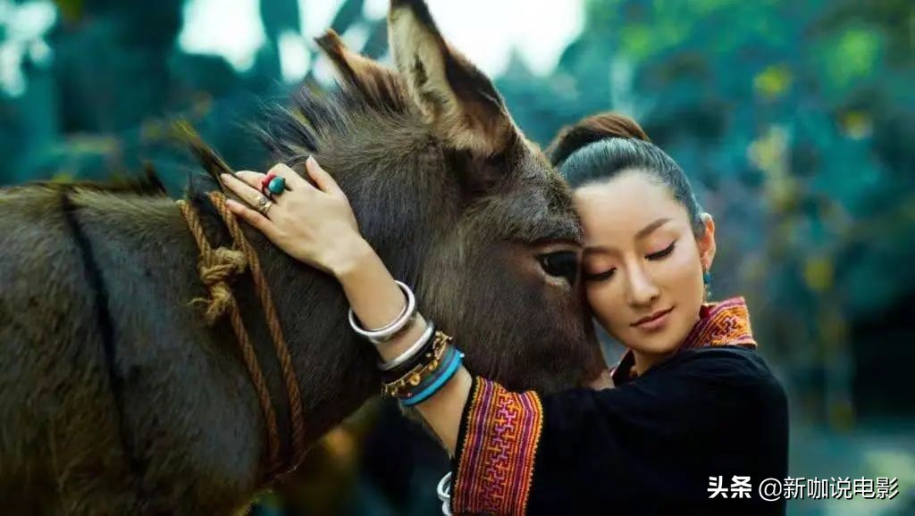 金星怼萨顶顶,萨顶顶回怼金星