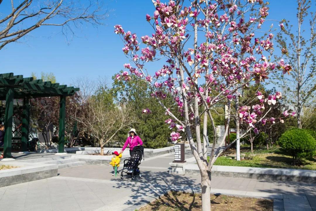 漫步西城|沿着千年时光的脉络，遇见广内~