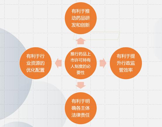 延安必康药品,药品上市许可持有