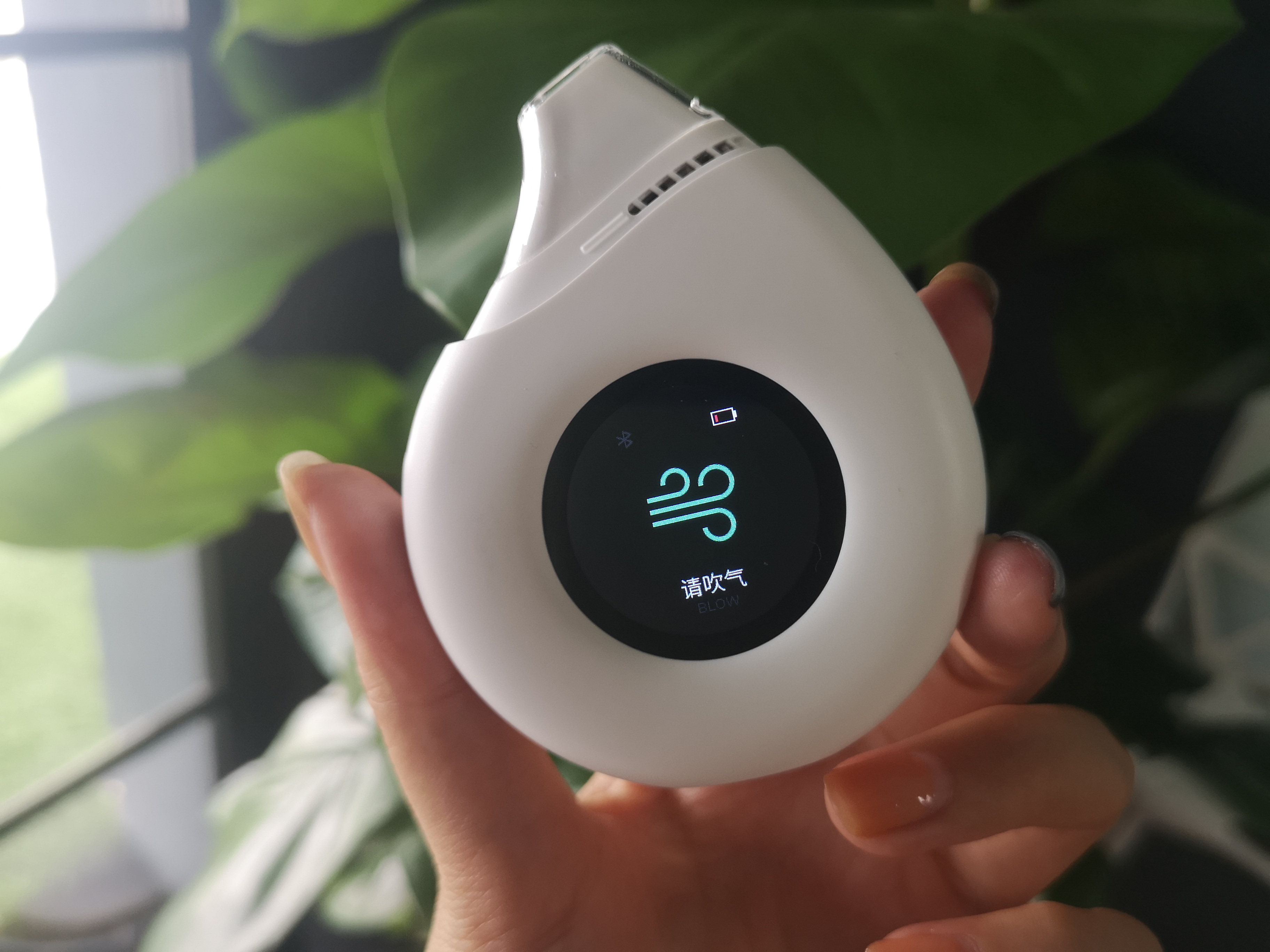 生酮减脂大法,生酮减脂实验